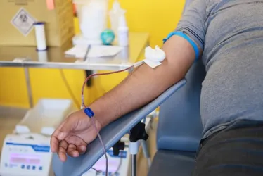 
			
				Arapiraca receberá ação itinerante para doação de sangue nesta terça
			
			