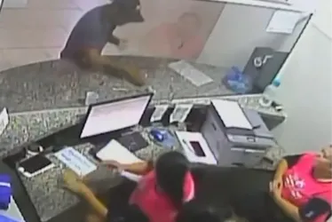 
				Homem arremessa escorpiões vivos em funcionárias de unidade de saúde
			
			