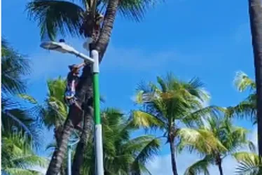 
				Homem é preso por furtar fios e refletores de postes na Ponta Verde
			
			