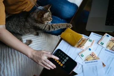 
				Maioria dos brasileiros gasta R$ 200 por mês em cuidados com pets
			
			