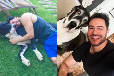 
			
				Ricardo Tozzi anuncia morte de cachorro e recebe apoio de famosos
			
			