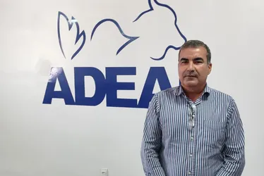 
			
				Um avanço na pecuária de AL: a antecipação na vacinação da aftosa
			
			