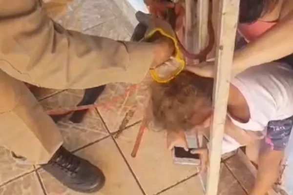 
				
					Bombeiros resgatam criança que prendeu a cabeça em grade.
				
				