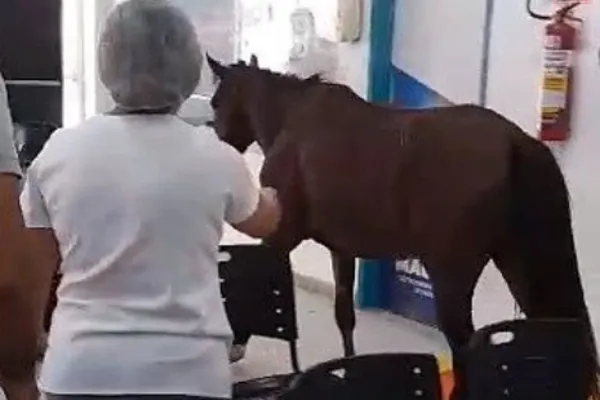 
				
					Cavalo aparece em posto e diverte pacientes: "veio se consultar"
				
				