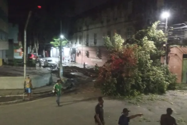 
				
					Chuva provoca queda de árvore de grande porte no centro de Maceió
				
				