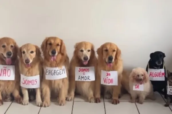 
				
					Grupo de pets “protesta” em homenagem ao cão Joca
				
				