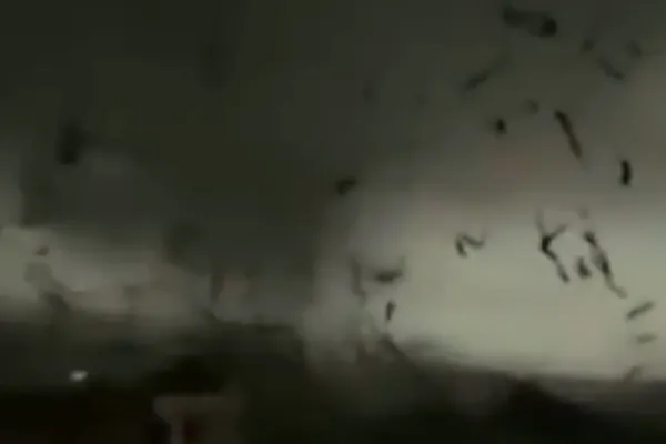 
				
					Passagem de tornado na China deixa 5 mortos e 33 feridos
				
				