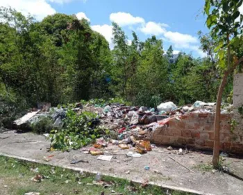 Alurb atua em mais de 150 denúncias de terrenos abandonados em Maceió