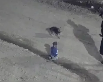 Bebê escapa de casa engatinhando com cachorro, na Argentina