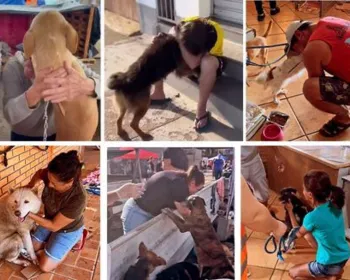 Emoção: tutores reencontram seus pets no Rio Grande do Sul