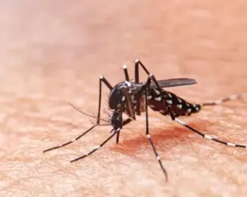 Casos de dengue crescem mais de 170% em 2024