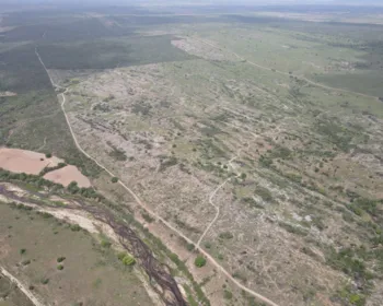 FPI embarga mais de mil hectares de terra por desmatamento ilegal