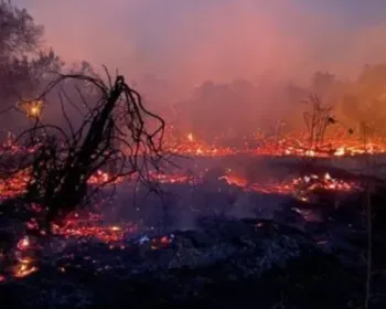 Ministério reconhece “alta probabilidade” de queimadas no Pantanal similares a 2020