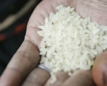 Oposição apresenta pedido na Justiça para barrar novo leilão do arroz