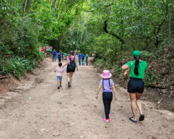 Parque Municipal de Maceió fecha trilhas para manutenção