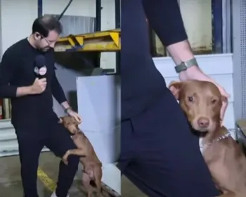 Paulo Mathias adota cão após tutor entrar em lista de desaparecidos