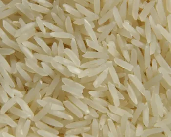 Preço do arroz ao produtor já chegou a 4% com chuvas no RS e deve atingir consumidor