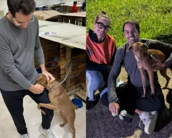 Repórter do SBT adota cãozinho que abraçou sua perna no RS