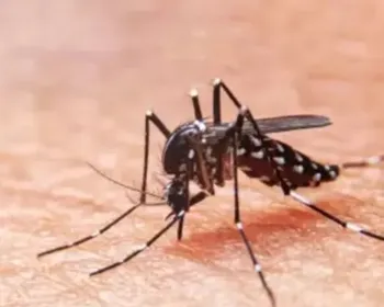 Sobe para cinco o número de morte por dengue em Alagoas