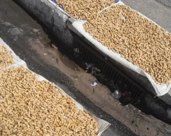 Vigilância apreende amendoins com suspeita de contaminação por fezes