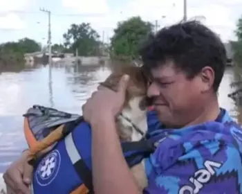 Voluntário encontra o próprio cão perdido há 7 dias em cidade gaúcha