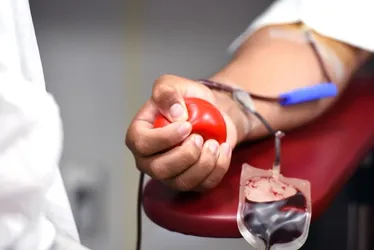 
			
				Hemoal realiza coleta externa de sangue nesta terça, no centro de Arapiraca
			
			