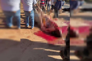 
			
				Boi morre atropelado, e população disputa carne em via do DF
			
			