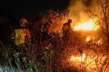 
			
				Força Nacional atuará no combate aos incêndios no Pantanal
			
			