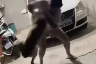 
			
				Homem agride cão mais de 10 vezes e o joga no chão
			
			
