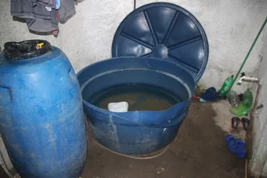 
			
				Homem encontrado morto em Maribondo sofreu asfixia por afogamento
			
			