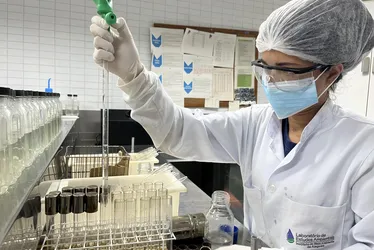 
			
				IMA e Semarh monitoram qualidade da água de 35 mananciais hídricos
			
			