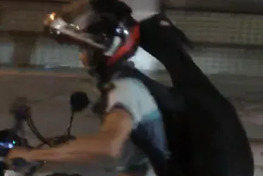 
			
				Imagem flagra bode agarrado a motociclista na garupa
			
			