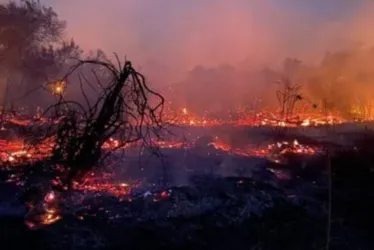 
			
				Ministério reconhece “alta probabilidade” de queimadas no Pantanal similares a 2020
			
			