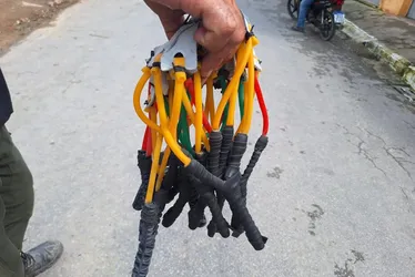 
				Operação Curupira apreende 461 aves e aplica R$ 110 mil em multas em Alagoas
			
			