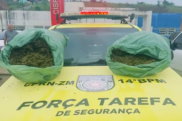 
				PM de Alagoas apreende 32 armas e 21 quilos de drogas em uma semana
			
			