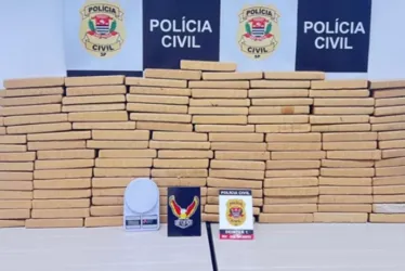 
			
				Polícia apreende quase 100 kg de maconha escondida em banheiro de casa
			
			