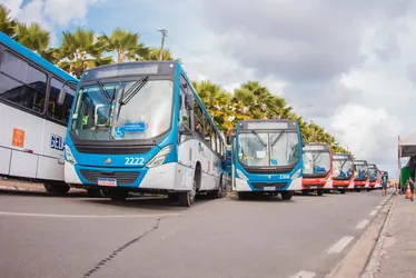 
			
				Pontal da Barra ganha nova linha de ônibus; confira!
			
			
