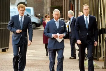 
			
				Príncipe William assume cargo que rei Charles prometeu a Harry
			
			