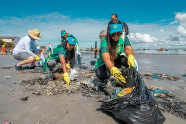 
			
				Projeto Praia Limpa faz mutirão de limpeza na Ponta Verde
			
			