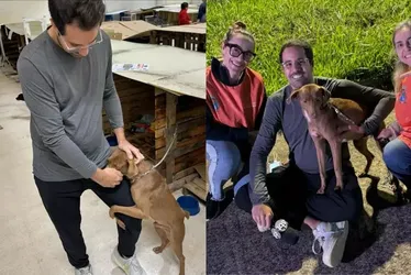 
			
				Repórter do SBT adota cãozinho que abraçou sua perna no RS
			
			