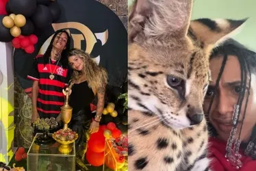 
			
				Savannah: raça de gato que Oruam deu à namorada vale até R$ 120 mil
			
			