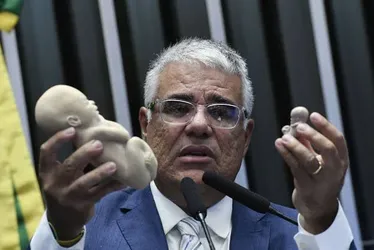 
			
				Senado debate assistolia fetal nesta segunda (17)
			
			