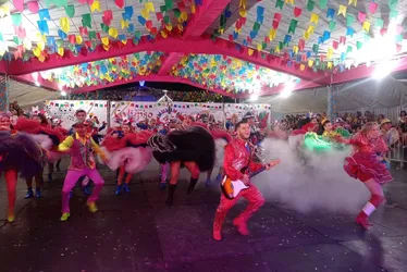 
			
				Veja as cinco quadrilhas finalistas do Forró & Folia 2024
			
			