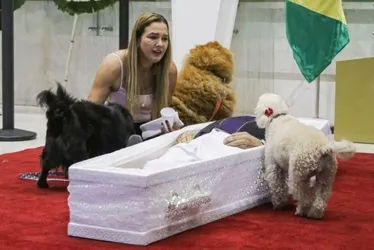 
			
				Velório de Nahim na Alesp tem caixão no chão para cães se despedirem
			
			