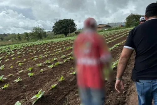 
				Desenhos de criança de 11 anos ajudam polícia a prender tio suspeito de estupro no Agreste
			
			