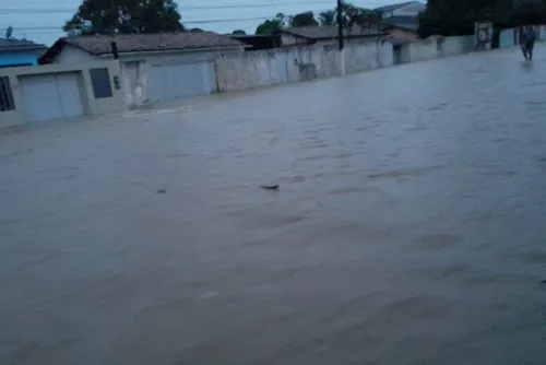 
				Veja imagens dos estragos causados pelo forte temporal na capital e no interior de AL
			
			