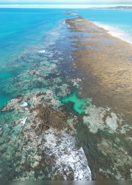 
			
				Aquecimento dos oceanos ameaça biodiversidade marinha em Alagoas
			
			