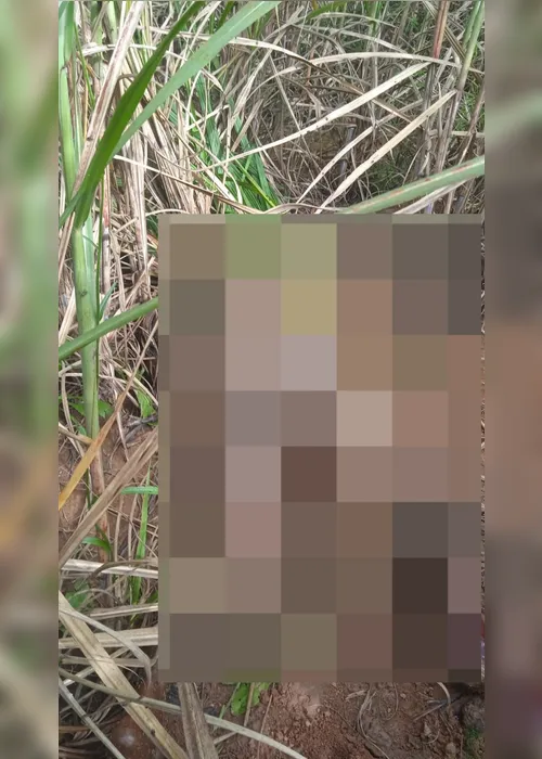 
				Caso Emerson Ramon: corpo é achado em canavial em São Sebastião
			
			