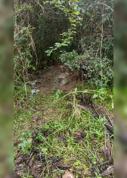 
				Corpo concretado achado em matagal é de jovem que estava desaparecido
			
			