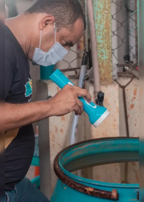 
				Dengue: Maceió registra mais 137 casos em uma semana
			
			